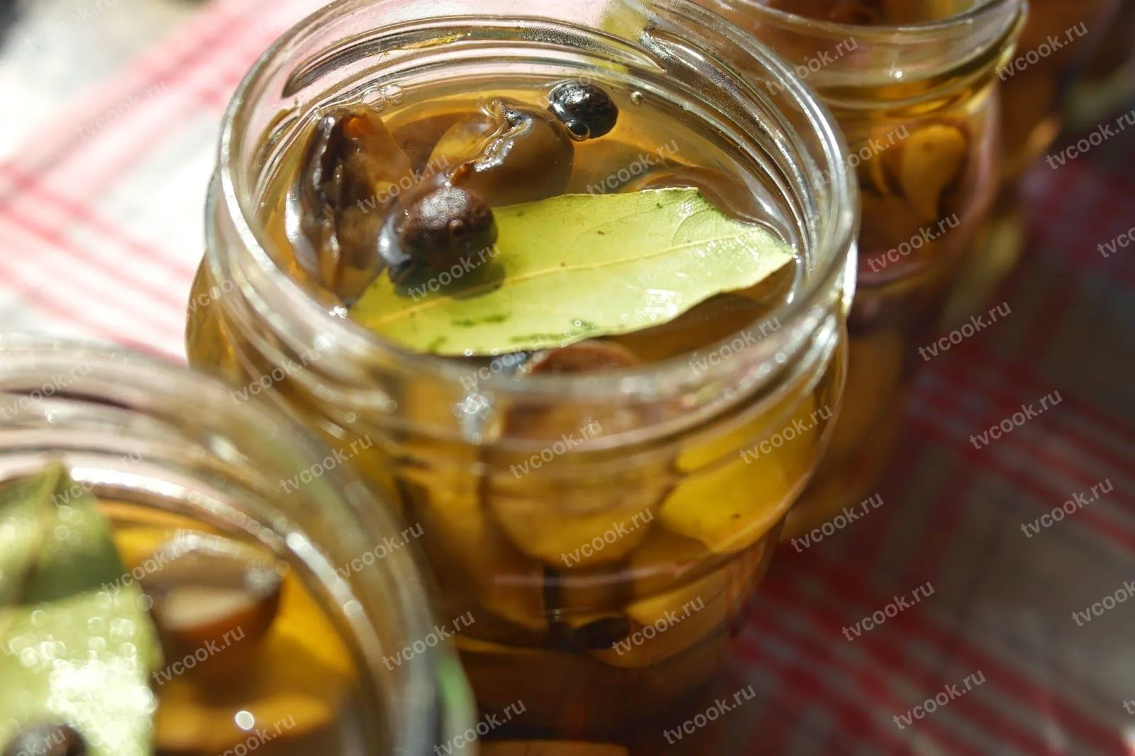 Маринованные грибы с луком на зиму
