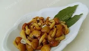 Маринованные опята – классический рецепт с чесноком