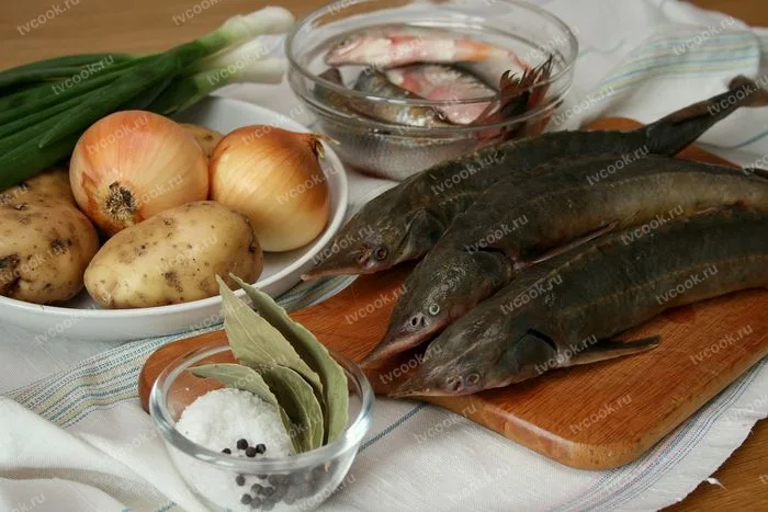 Царская уха из стерляди