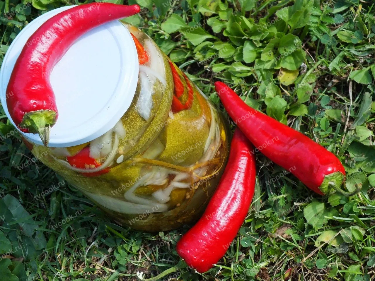 Огурцы с перцем чили на зиму