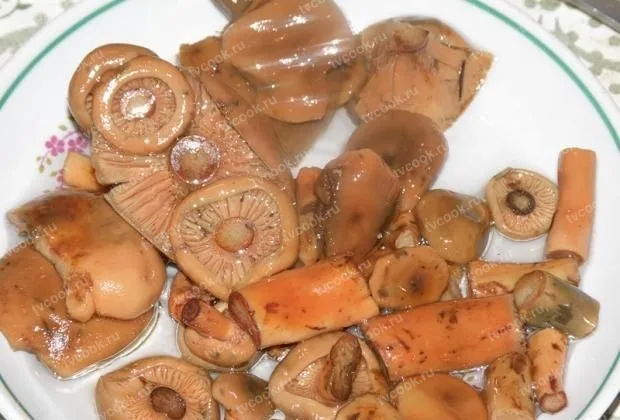 Маринованные рыжики на зиму