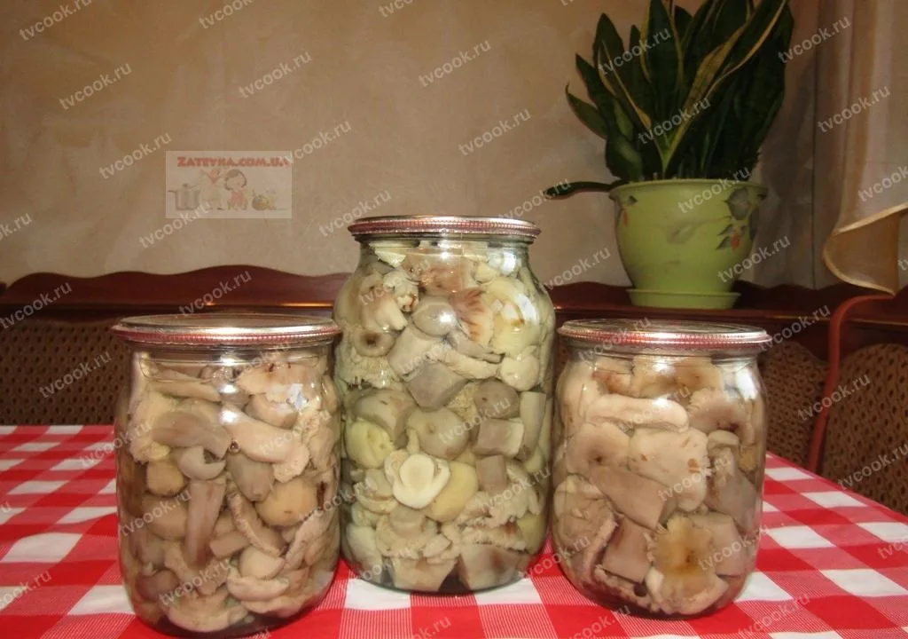 Маринованные рядовки на зиму
