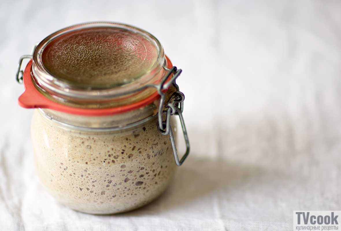 Sourdough Starter