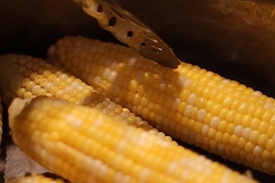 Сорт кукурузы