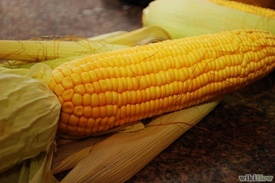 Сладкая кукуруза в мультиварке
