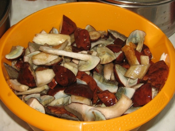 Салаты с грибами – рецепты с фото (пошагово)