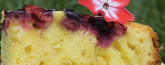 Как приготовить Открытый пирог с ягодами из дрожжевого теста в духовке рецепт пошагово