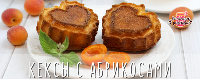 Блюда из абрикосов – рецепты с фото (пошагово)